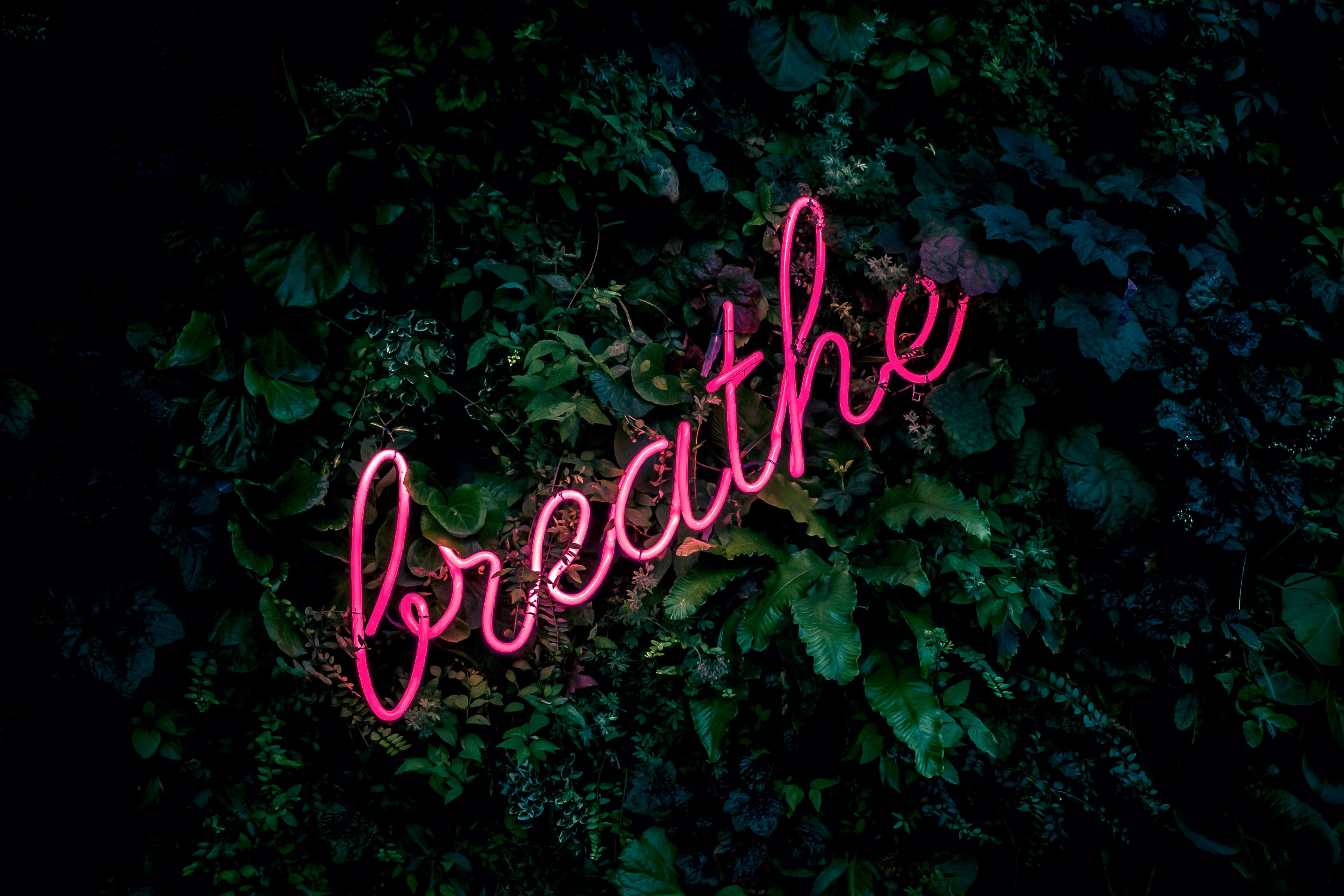Breathe.jpg